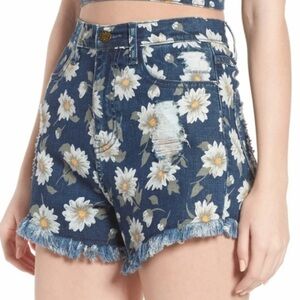 Toledo Cut Off / Denim Shorts / 24 / High Waisted